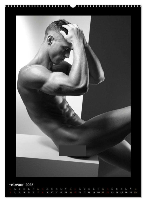 Männer... Cube (CALVENDO Premium Wandkalender 2026)