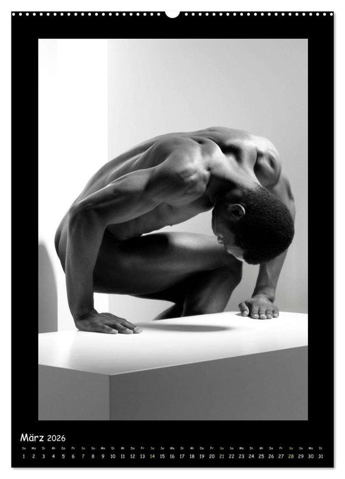 Männer... Cube (CALVENDO Premium Wandkalender 2026)