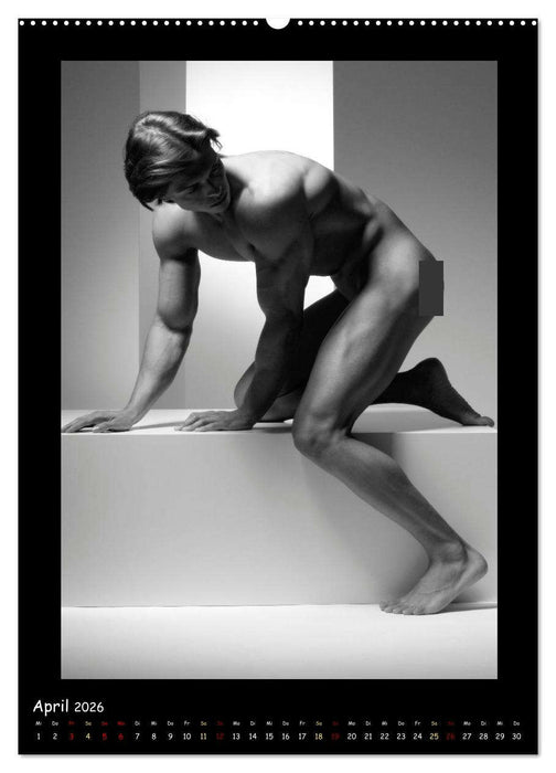 Männer... Cube (CALVENDO Premium Wandkalender 2026)