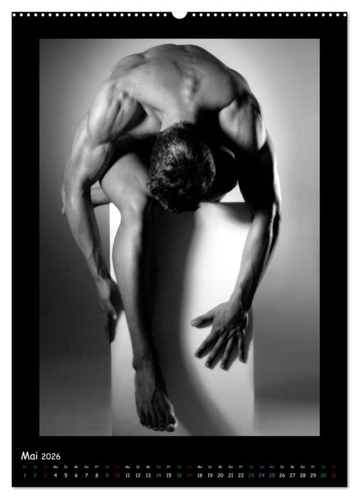 Männer... Cube (CALVENDO Premium Wandkalender 2026)