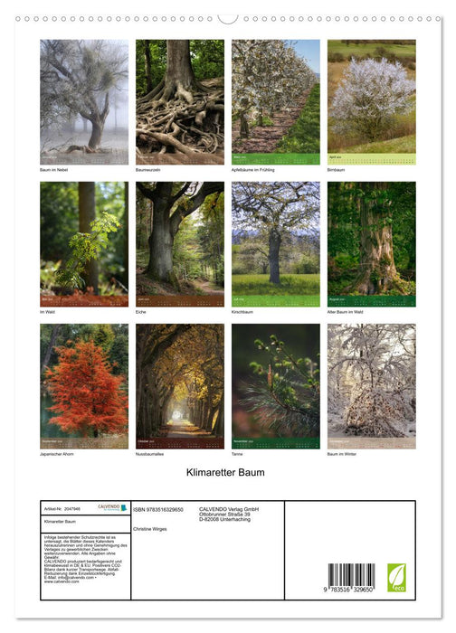 Klimaretter Baum (CALVENDO Premium Wandkalender 2026)