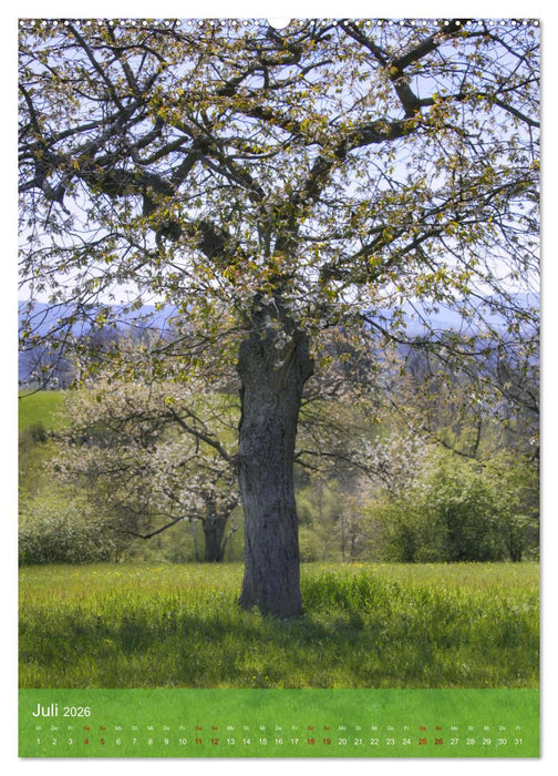 Klimaretter Baum (CALVENDO Premium Wandkalender 2026)