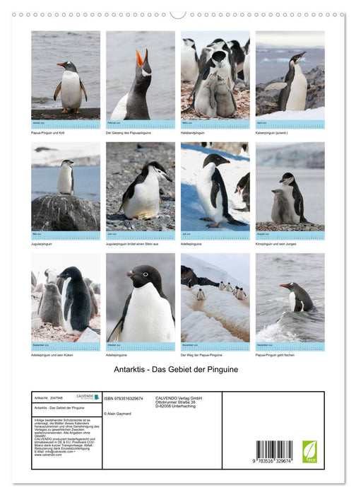 Antarktis - Das Gebiet der Pinguine (CALVENDO Premium Wandkalender 2026)