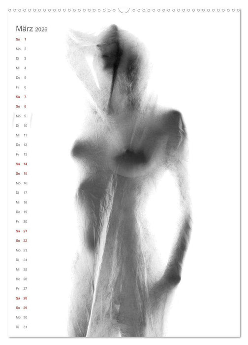 Papierakte (CALVENDO Wandkalender 2026)