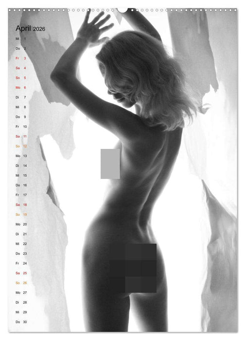 Papierakte (CALVENDO Wandkalender 2026)