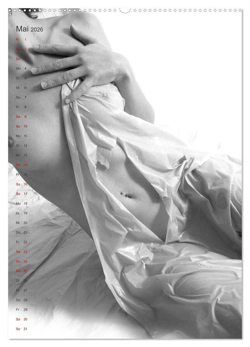 Papierakte (CALVENDO Wandkalender 2026)