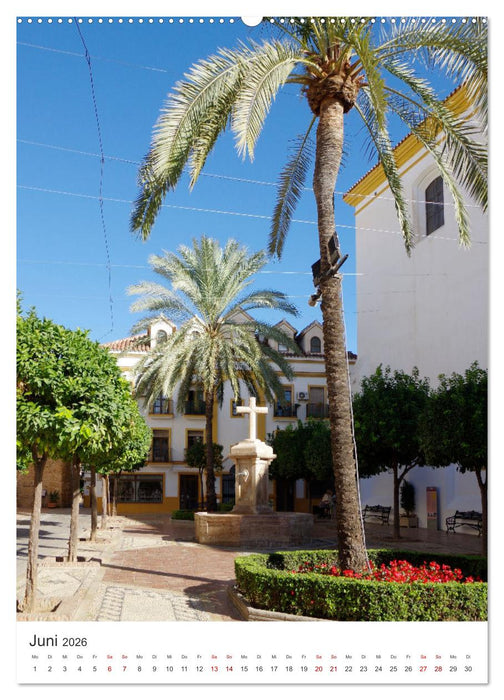 Marbella - Die Costa del Sol in Hochform (CALVENDO Wandkalender 2026)