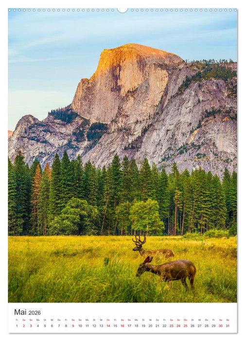 Kalifornien - Traumstrände, Weltstädte und unberührte Natur (CALVENDO Premium Wandkalender 2026)