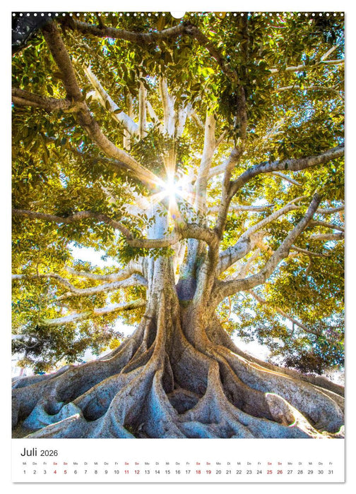 Kalifornien - Traumstrände, Weltstädte und unberührte Natur (CALVENDO Premium Wandkalender 2026)