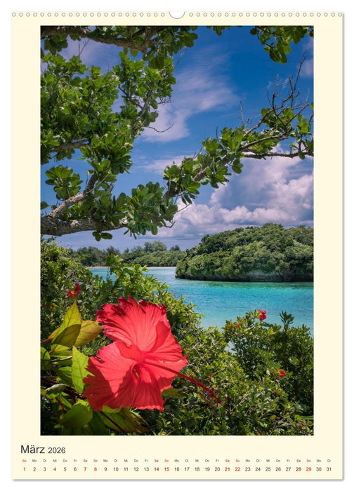 Japan - eine Sommerreise durch die Zeit (CALVENDO Premium Wandkalender 2026)