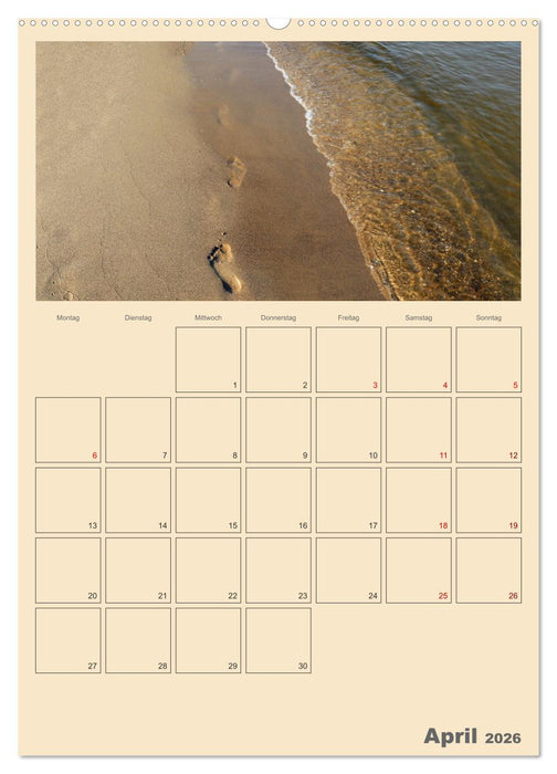 Usedom Ostsee - Terminplaner (CALVENDO Wandkalender 2026)