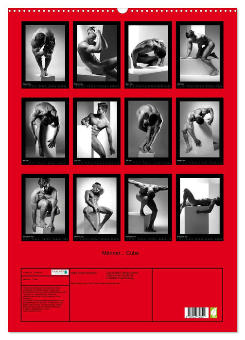 Männer... Cube (CALVENDO Wandkalender 2026)
