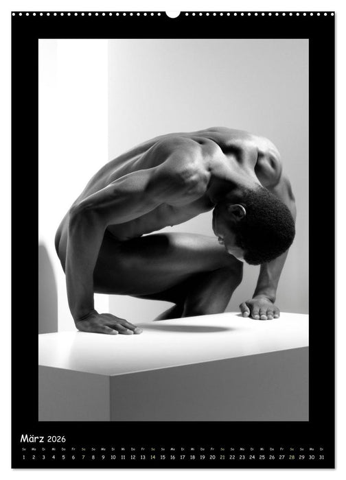 Männer... Cube (CALVENDO Wandkalender 2026)