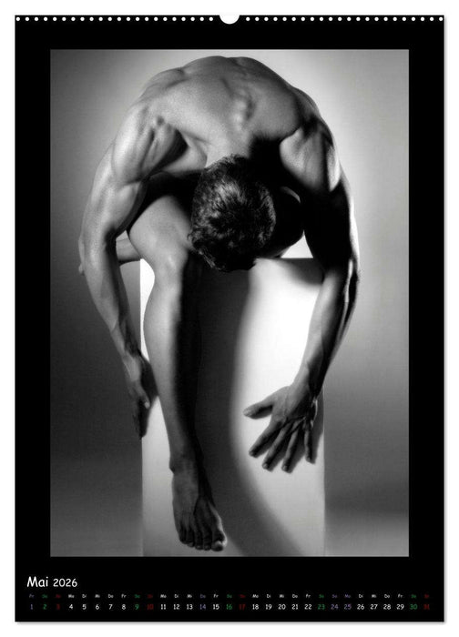 Männer... Cube (CALVENDO Wandkalender 2026)