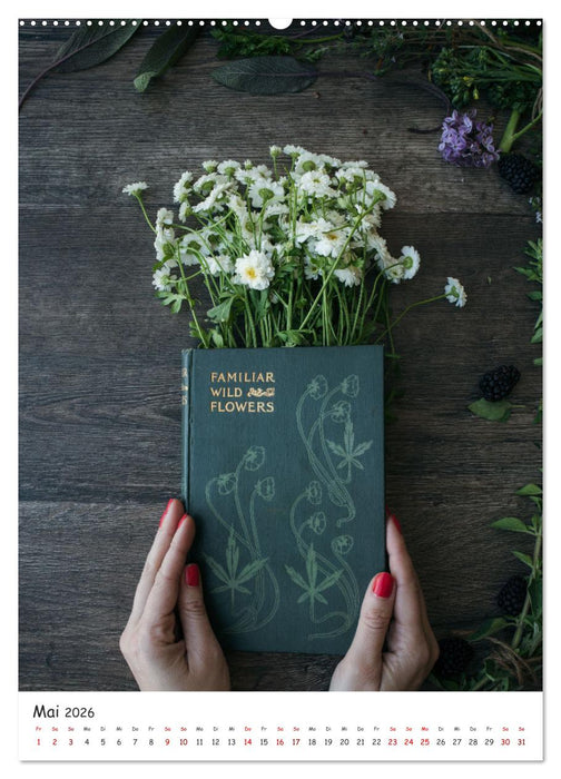 Kräuterküche - Pikante Stilleben aus der Gewürzküche (CALVENDO Premium Wandkalender 2026)