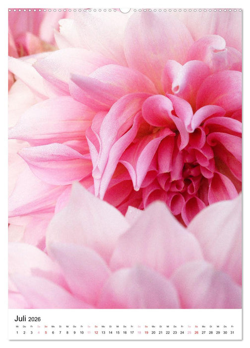 Blüten - Ein Fest der Formen und Farben (CALVENDO Premium Wandkalender 2026)