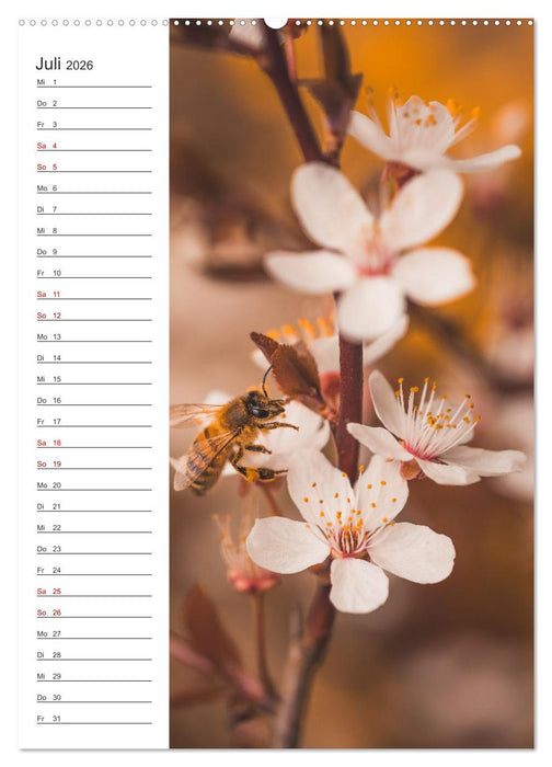 Naturheilmittel Honig - Kalender & Terminplaner (CALVENDO Premium Wandkalender 2026)