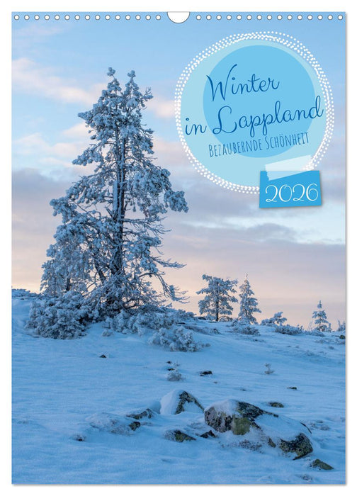 Winter in Lappland - Bezaubernde Schönheit (CALVENDO Wandkalender 2026)