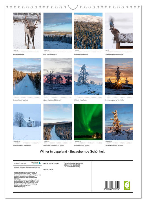 Winter in Lappland - Bezaubernde Schönheit (CALVENDO Wandkalender 2026)