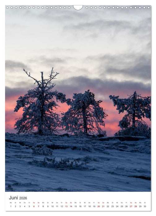 Winter in Lappland - Bezaubernde Schönheit (CALVENDO Wandkalender 2026)