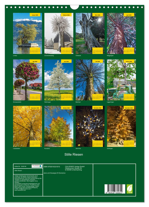 Stille Riesen (CALVENDO Wandkalender 2026)