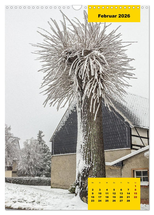 Stille Riesen (CALVENDO Wandkalender 2026)