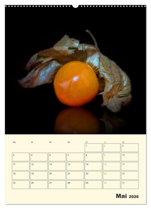 Allerlei Früchte (CALVENDO Premium Wandkalender 2026)