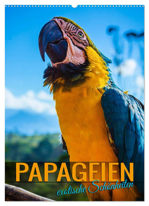 Papageien - exotische Schönheiten (CALVENDO Wandkalender 2026)