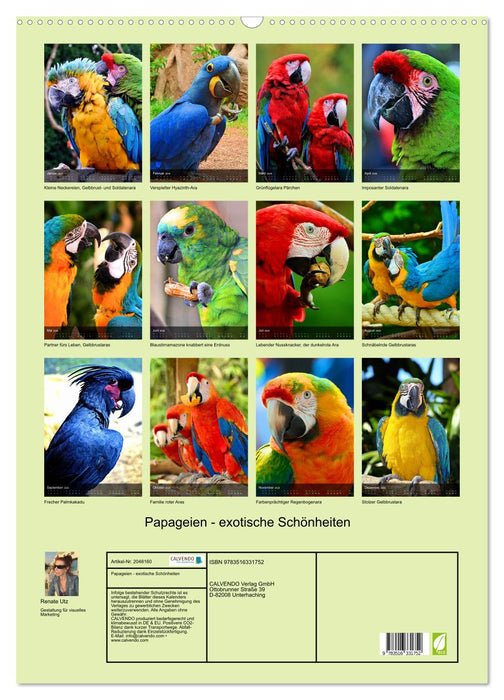 Papageien - exotische Schönheiten (CALVENDO Wandkalender 2026)