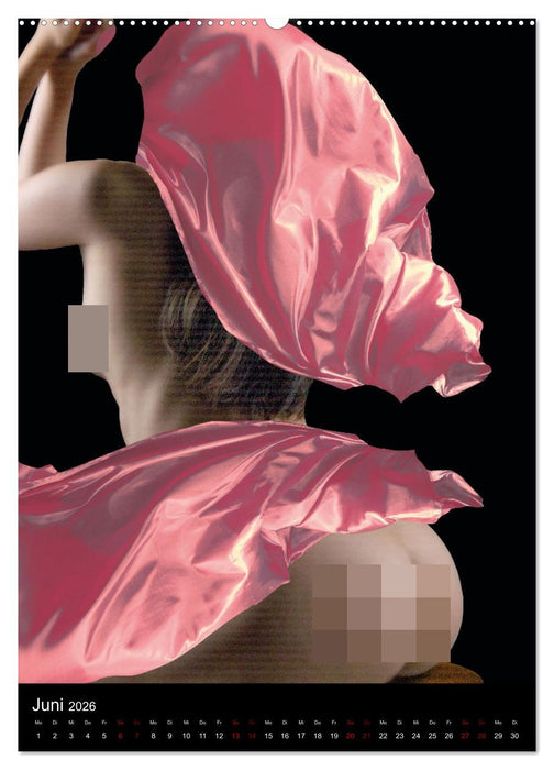 Anonymer Akt (CALVENDO Wandkalender 2026)