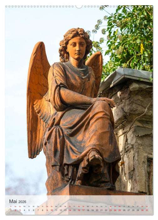 Engel - Himmlische Begleiter (CALVENDO Premium Wandkalender 2026)