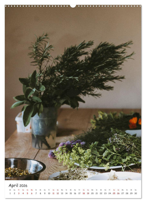 Kräuterküche - Pikante Stilleben aus der Gewürzküche (CALVENDO Wandkalender 2026)
