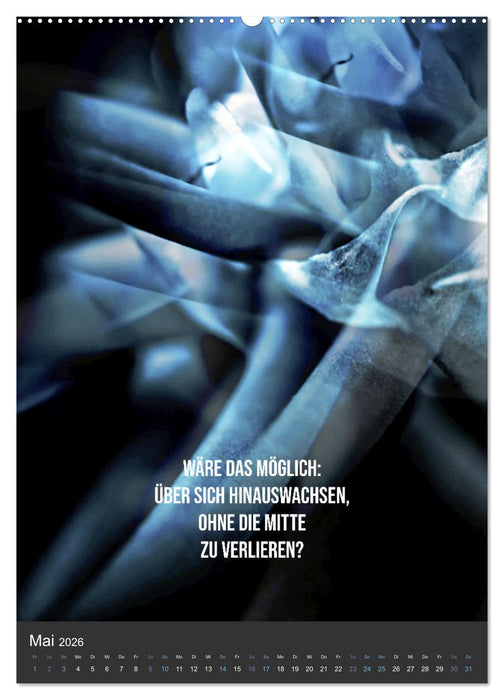 AugenweiTe Bilder.Texte.Inspirationen (CALVENDO Premium Wandkalender 2026)