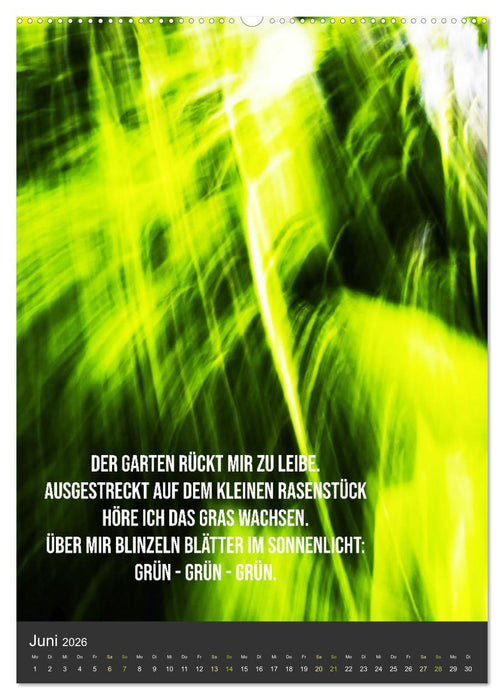 AugenweiTe Bilder.Texte.Inspirationen (CALVENDO Premium Wandkalender 2026)