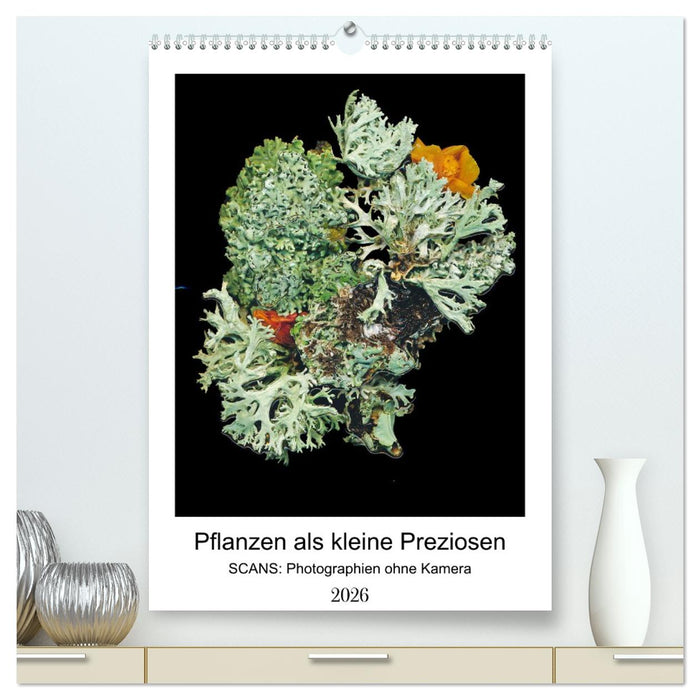 Pflanzen als kleine Preziosen (CALVENDO Premium Wandkalender 2026)