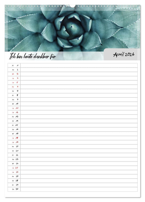 Ich bin dankbar - ein Jahr voller Yoga und Achtsamkeit - Yoga Kalender (CALVENDO Wandkalender 2026)