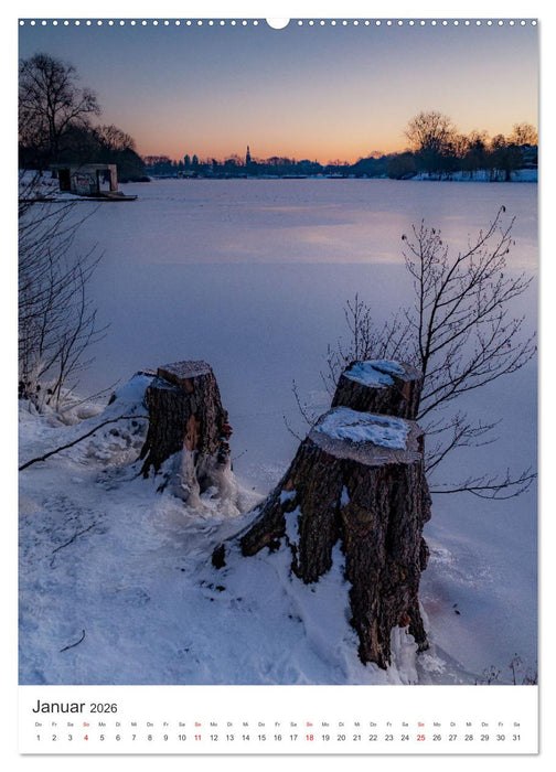 Münster - stimmungsvoll und harmonisch (CALVENDO Wandkalender 2026)
