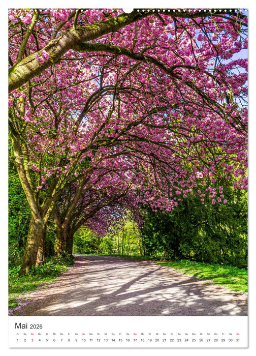 Münster - stimmungsvoll und harmonisch (CALVENDO Wandkalender 2026)