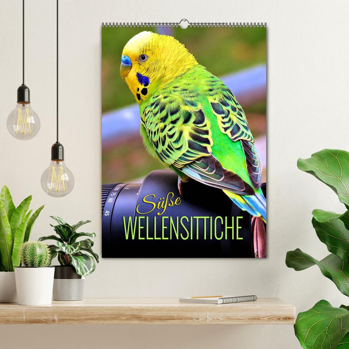 Süße Wellensittiche (CALVENDO Wandkalender 2026)