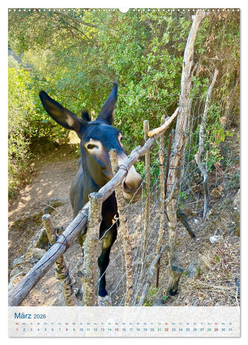 Geheimnisvolles Mallorca (CALVENDO Wandkalender 2026)