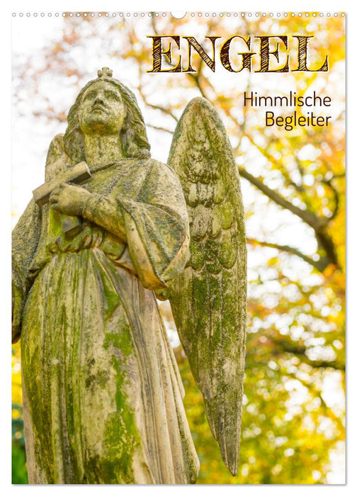 Engel - Himmlische Begleiter (CALVENDO Wandkalender 2026)
