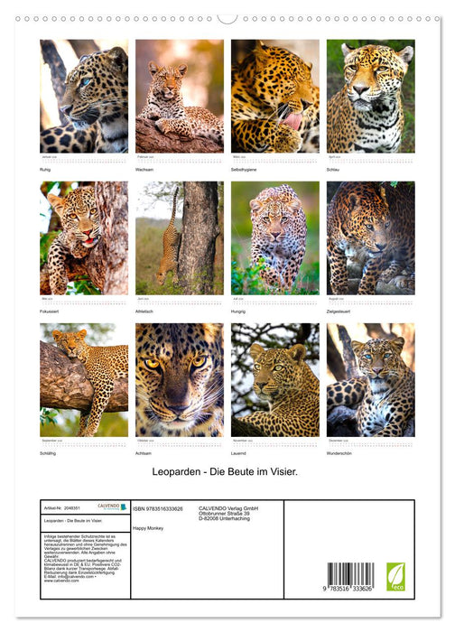 Leoparden - Die Beute im Visier. (CALVENDO Premium Wandkalender 2026)