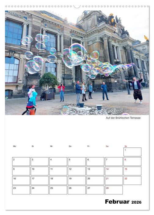 Prachtvolles Dresden (CALVENDO Premium Wandkalender 2026)