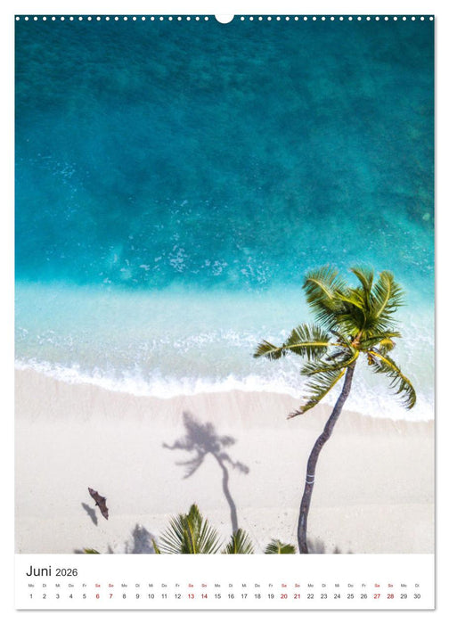 Tropisches Paradies Luftaufnahmen (CALVENDO Wandkalender 2026)