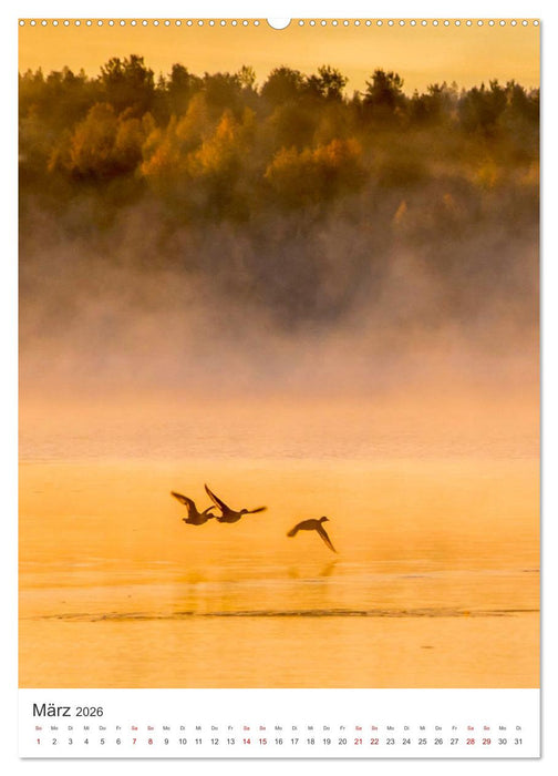 Finnland - Bezaubernde Schönheit. (CALVENDO Wandkalender 2026)