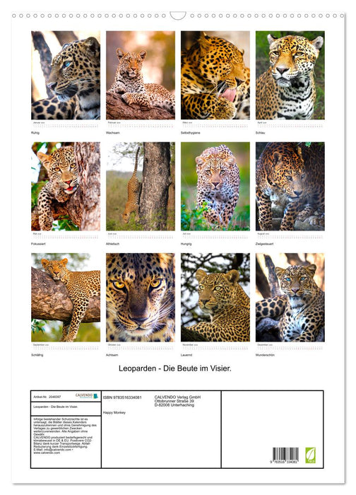 Leoparden - Die Beute im Visier. (CALVENDO Wandkalender 2026)