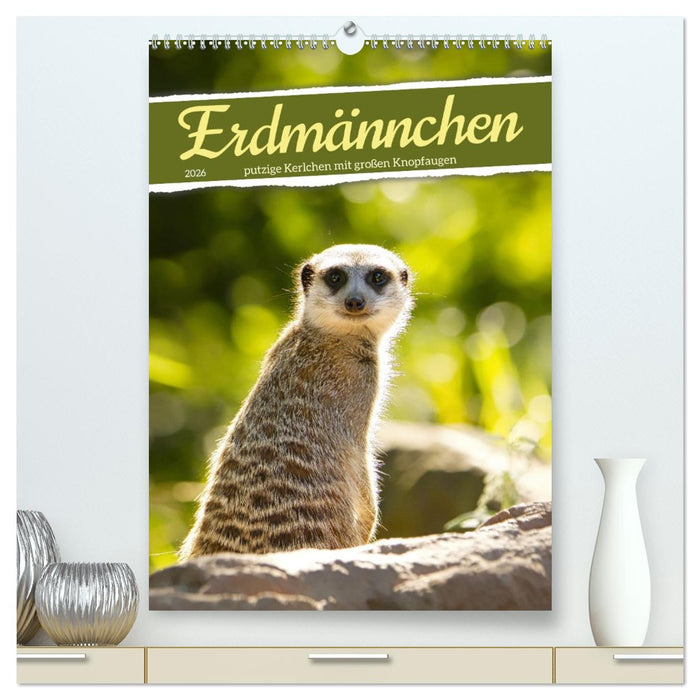 Erdmännchen, putzige Kerlchen mit großen Knopfaugen (CALVENDO Premium Wandkalender 2026)