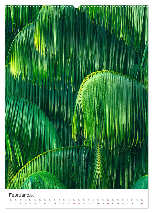 Leben im Regenwald (CALVENDO Premium Wandkalender 2026)