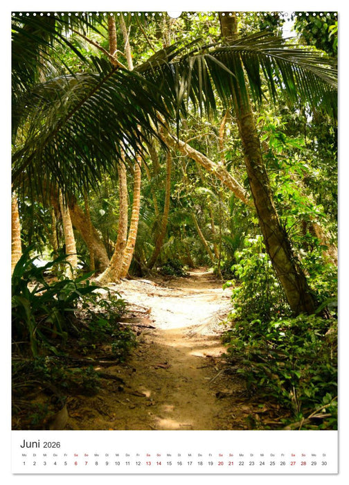Leben im Regenwald (CALVENDO Premium Wandkalender 2026)