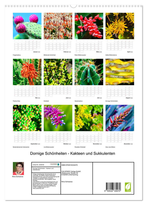 Dornige Schönheiten - Kakteen und Sukkulenten (CALVENDO Premium Wandkalender 2026)